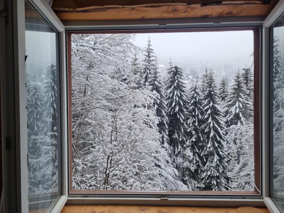 Studio Potocic Kopaonik Exterior photo
