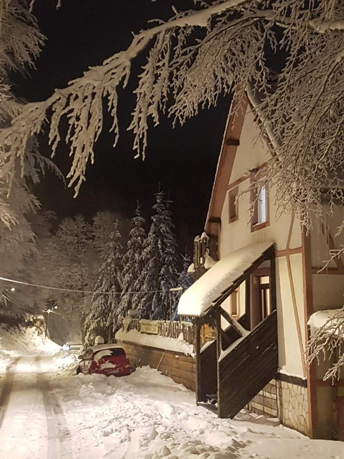 Studio Potocic Kopaonik Exterior photo